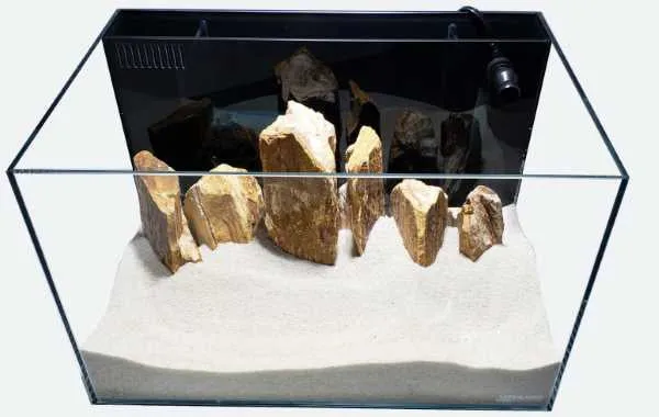 24 Gallon Ultra Low Iron CRYSTAL Aquarium Kit with Built in Back Filter