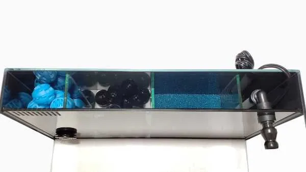 24 Gallon Ultra Low Iron CRYSTAL Aquarium Kit with Built in Back Filter