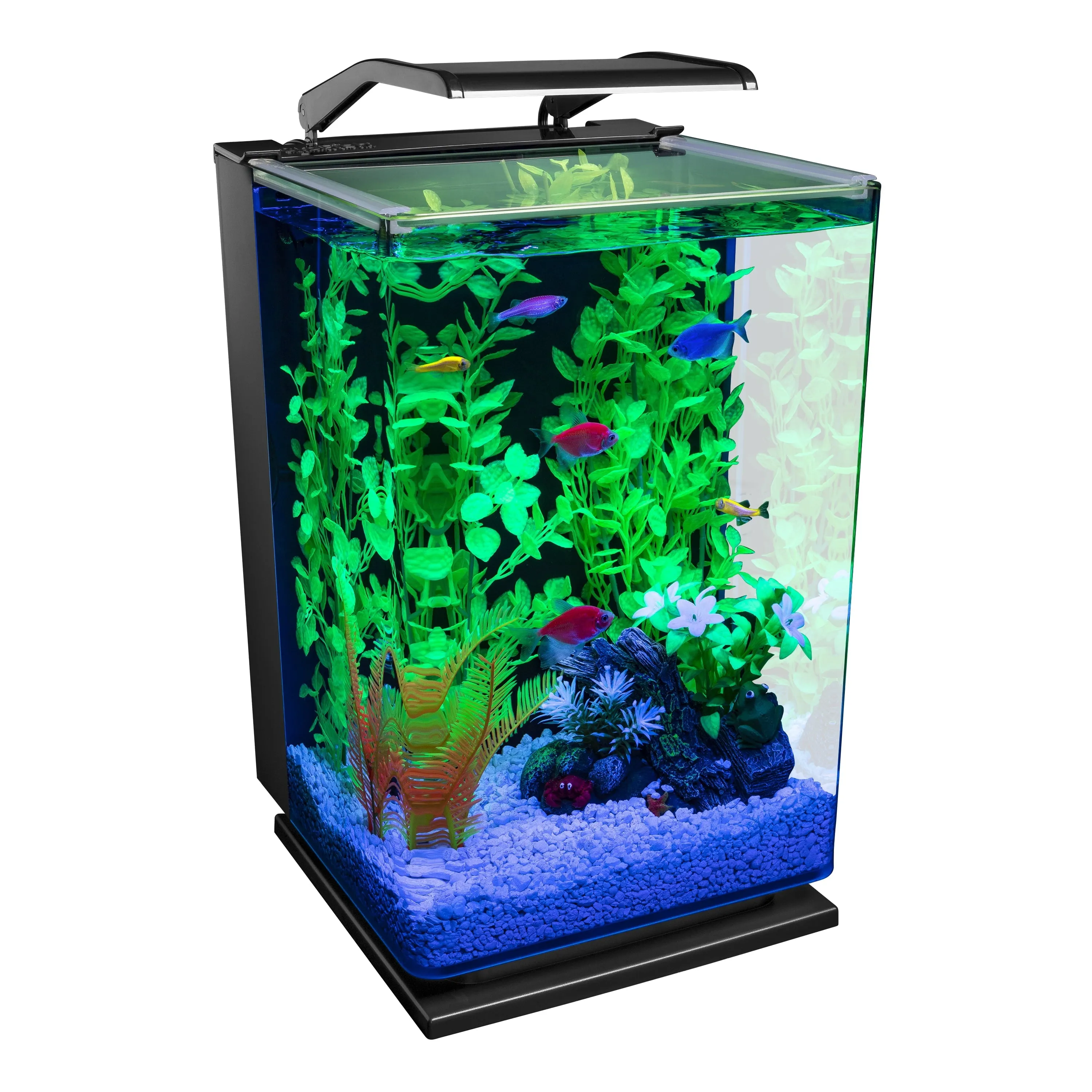 5 gal Desktop Starter Glass Aquarium Kit