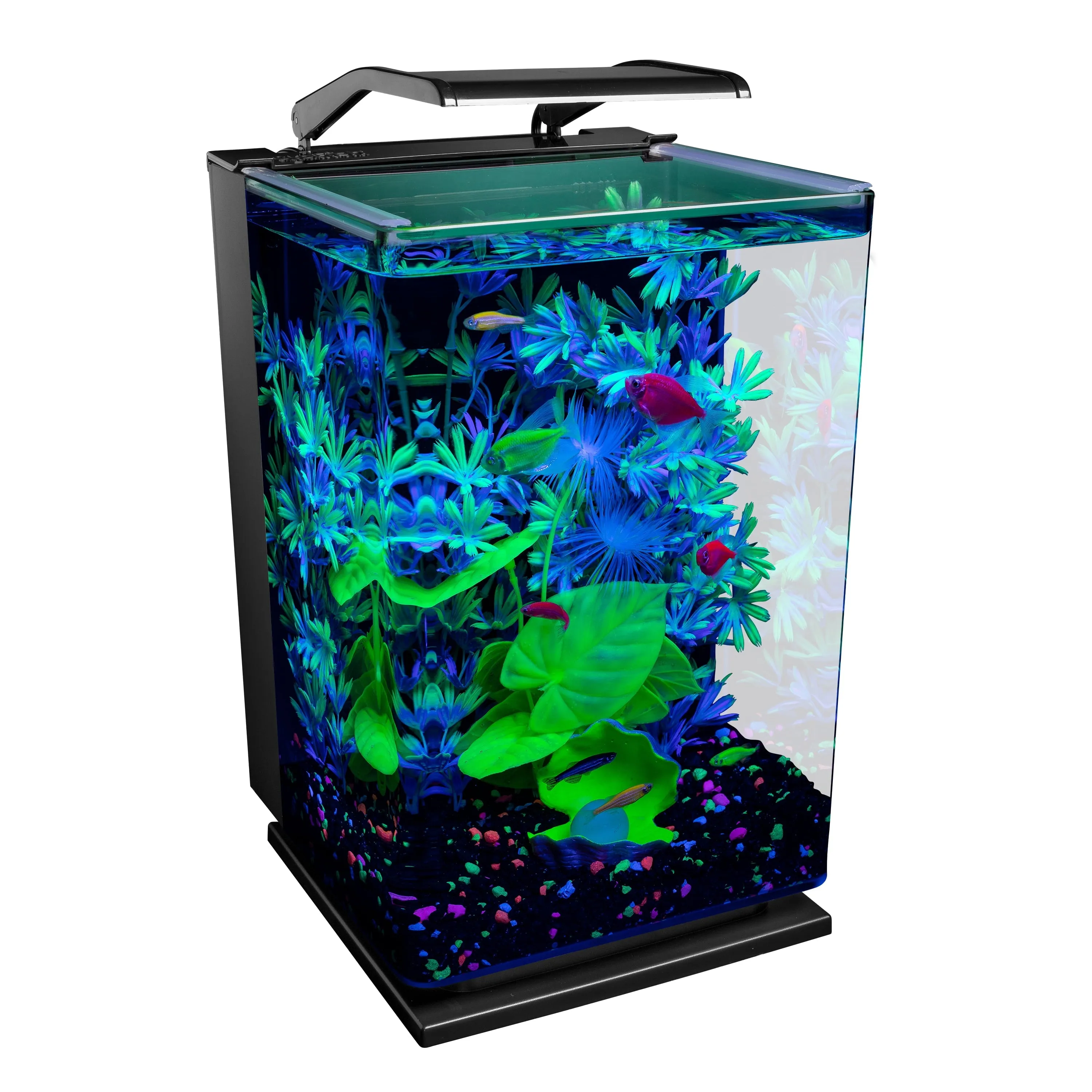 5 gal Desktop Starter Glass Aquarium Kit