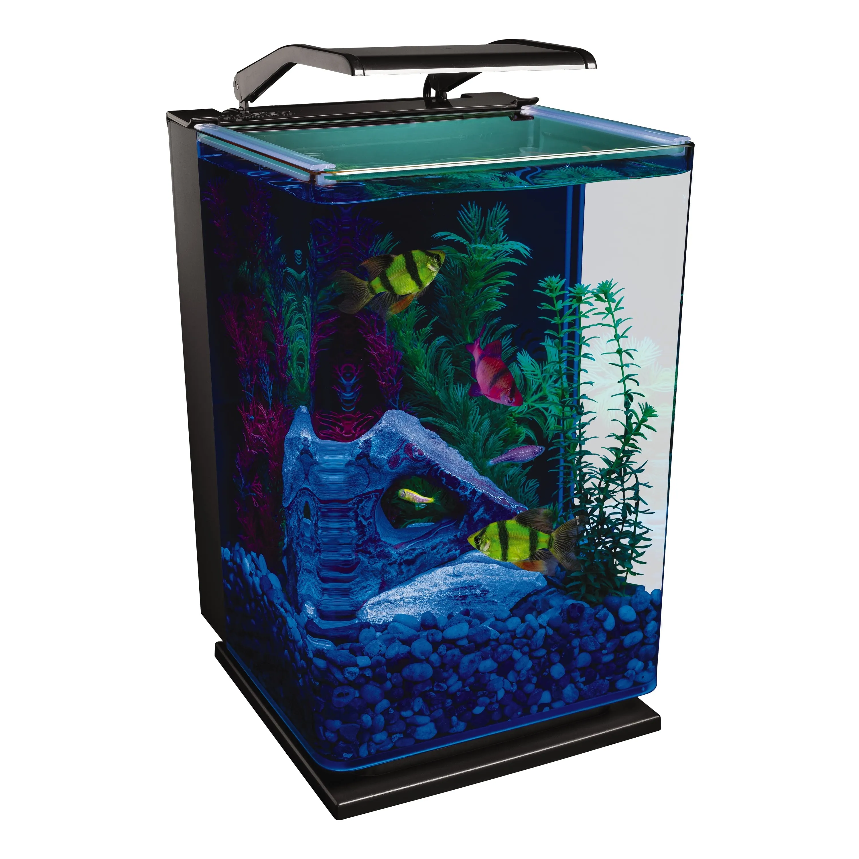 5 gal Desktop Starter Glass Aquarium Kit