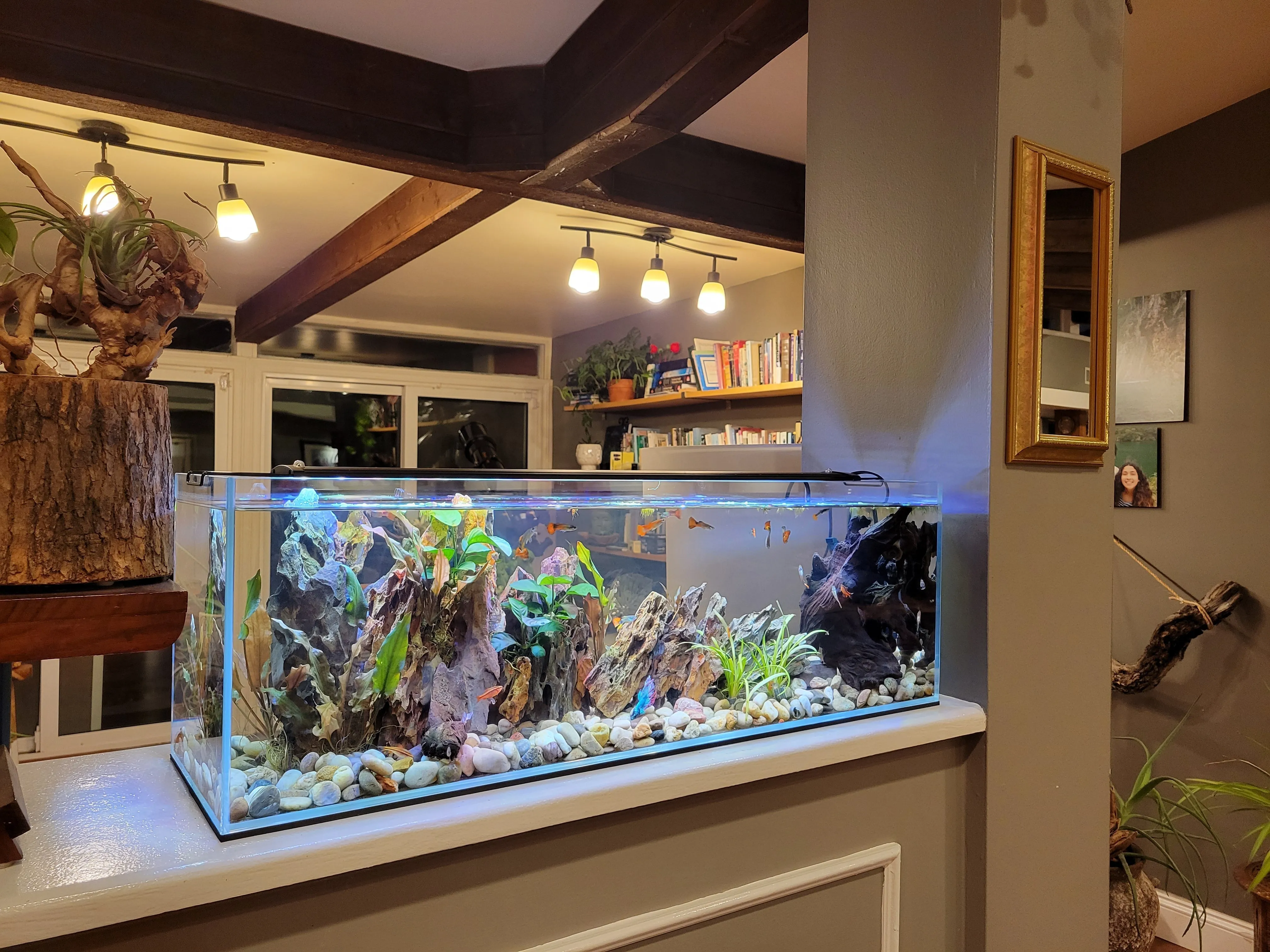 6 Gallon Ultra Low Iron Glass Bookshelf Aquarium Kit 5mm (29.92"x5.90"x7.87")