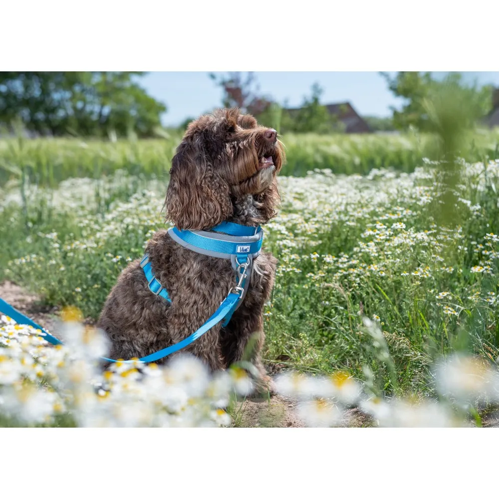 Ancol Viva Padded Harness Blue S 36-42cm
