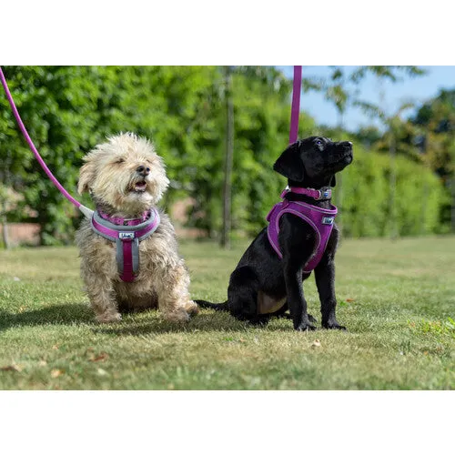 Ancol Viva Padded Harness Pink S 36-42cm